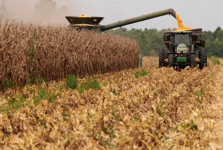 Master Farmer program continues to benefit Louisiana agriculture